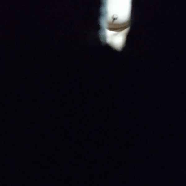 รูปโป๊