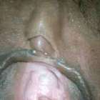 หอยอ้า