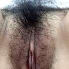 ให้ดู