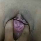 หีบายรวมเย็ด